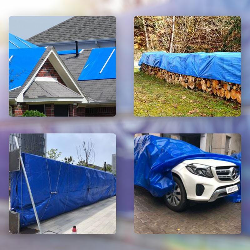Apsauginis tentas 5x8m